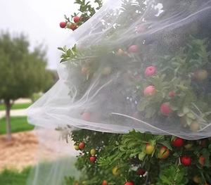 ตาข่ายป้องกันแมลงตาข่าย20ตาข่าย60ตาข่าย3ม. ตาข่ายสำหรับเรือนเพาะชำตาข่ายกะหล่ำปลีตาข่ายป้องกันเพลี้ยอ่อนสีขาวสำหรับเรือนกระจก - Product Image 5