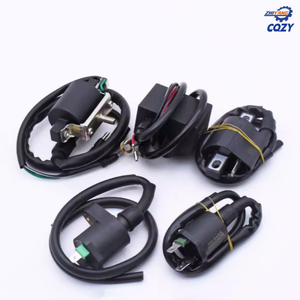 Bobine d'allumage de générateur de moto CQZY <span class=keywords><strong>125</strong></span> 150 200cc CG125/ZJ125, bougie d'allumage universelle pour Honda CG125, pièces détachées - Product Image 4