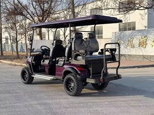Trung Quốc Nhà máy điện xe Golf giá rẻ giá <span class=keywords><strong>Buggy</strong></span> xe để bán - Product Image 5