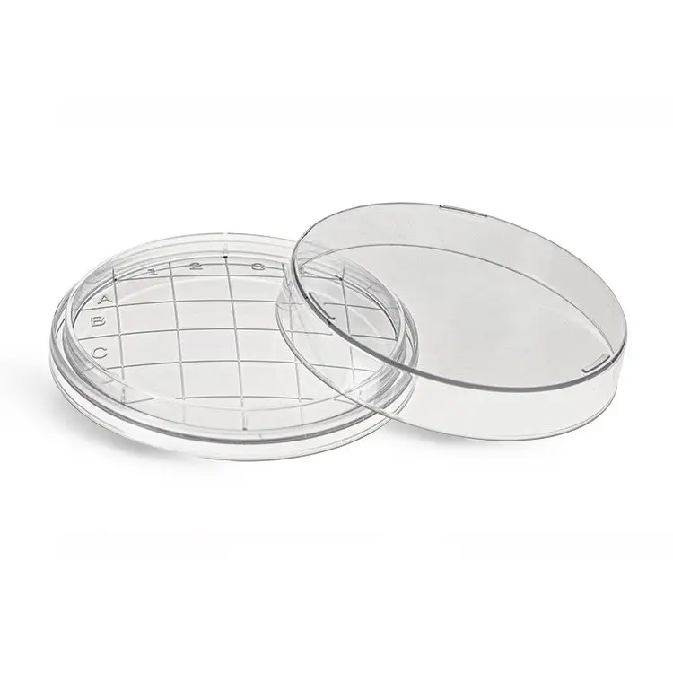 65mm Laboratory Disposable Plastic Surface Contact Dish Circular Lattice Petri Dish