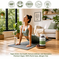 Gommes probiotiques et prébiotiques composites avec vitamines D3 et C pour le soutien immunitaire et la santé intestinale des adultes – Complément alimentaire quotidien