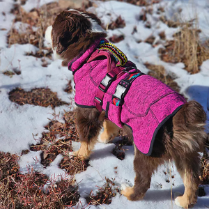 Personalizzato stampato Oem sport cane imbracatura Boho No Pull Running imbottito personalizzato imbracatura per cani ricamato per cani di grande razza - Product Image 6