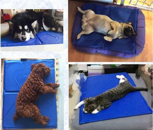 Almohadilla de Gel de hielo impermeable de verano segura ecológica, alfombrilla de refrigeración para mascotas, cojín para dormir, alfombrilla para cama - Product Image 5