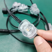   Lampes ponctuelles intelligentes RGBW permanentes pour l'extérieur, certifiées DC24V, avec contrôle par application Wifi, pour la décoration de la maison et des fêtes