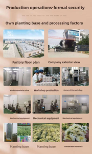 Bolsitas de Té de Jazmín Herbal Detoxificante Q Blooming con Certificación Halal - Product Image 5