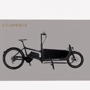 Cargo Bike 2 Wheel Electric Transport Cargo Bike With 2 Wheel Middle Motor Alloy 6061 MTB City Bike Tricycle Dutch