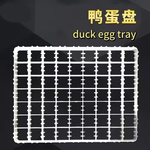 Precio de fábrica al por mayor 88 bandeja de huevos de pollito para pollo pato ganso codorniz para jaula de cría de pollos máquina de incubación - Product Image 4