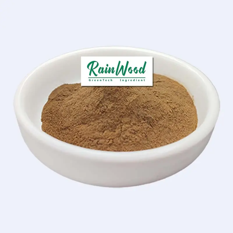 Rainwood kaynağı doğal organik ginkgo Biloba ekstraktı Ginkgo biloba flavonoidler 24% lactone 6%