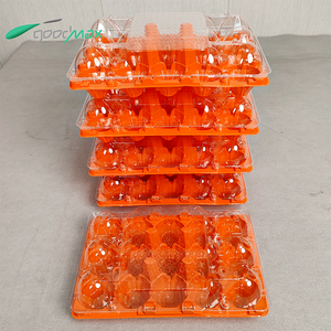 Supermarket Disposable <strong>Egg</strong> Packaging Box Food-Grade PET Plastic 15-Hole <strong>Egg</strong> Tray Blister Process Type - Product Image 3