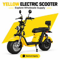 Scooter électrique Citycoco à deux roues pour adultes, puissance maximale 1500W-3000W, vitesse maximale 40-70 km/h, moto électrique pour adultes