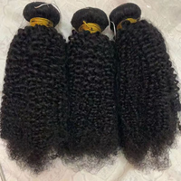 Extensions de cheveux humains 100% naturels, tissage de cheveux bouclés crépus mongols non traités avec fermeture en dentelle, Afro crépu 4B 4C Jerry Curl