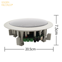 Haut-parleur de plafond encastré 30W, DC12V, télécommande, pour système de musique d'ambiance intérieur