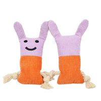 Jouets en peluche amusants pour animaux de compagnie (lapin, chat, cochon) avec couineur, jouets interactifs à mâcher en corde, jouets de nettoyage des dents pour chiens de toutes tailles