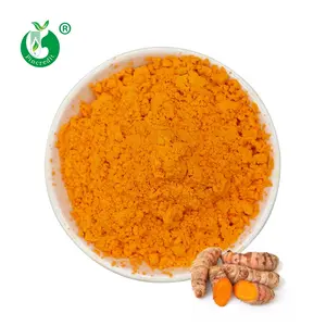 Pincredit Nhà Sản Xuất Giá Tốt Nhất Số Lượng Lớn Nghệ Chiết Xuất Bột Curcumin Chiết Xuất 95%