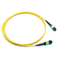 Kabel Patch Fiber Optik MPO APC ke MPO APC Singlemode Kompatibel 5G Bersertifikasi CE/FCC Garansi 3 Tahun