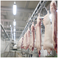 Ligne d'abattage automatique de porcs Maisheng, équipement d'abattoir de porcs moderne de qualité industrielle à haute efficacité