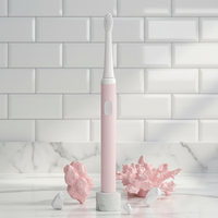 Cepillo de Dientes Eléctrico Portátil, Económico, Resistente al Agua, Recargable, con Cabezal de Cepillo Suave Reemplazable, para Blanqueamiento Dental