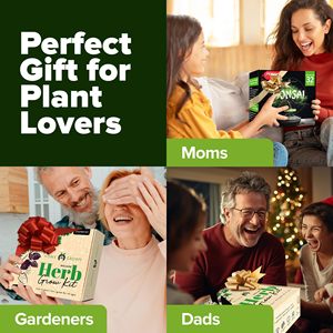 Top Selling Diy <strong>Bonsai</strong> Kit Wooden Garden Starter Plant Set Grow Your Own <strong>Bonsai</strong> Kit Hydroponic Terracotta Grow Kit - Product Image 5