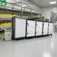 Máquina de Germinación de Brotes de Frijol Shandong Kefa con Control Automático de Temperatura, Alta Capacidad de 500 kg/día, Equipo Comercial de Germinación con PLC