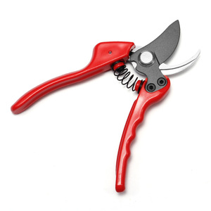 Tijeras de jardín de acero inoxidable de 60 mm con cabeza recta para podar árboles frutales y huertos. - Product Image 3