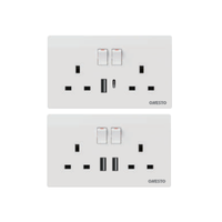 Prises d'interrupteurs en gros avec indicateur au néon Prise murale 13A avec prises électriques USB A Type C 2.4A 2 Gang UK