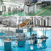 Usine de production et de transformation de jus de fruits à petite échelle (mangue, ananas, banane, calamansi) Full Line Passion – Coût Chine