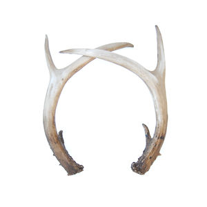 الراتنج الاصطناعي الغزلان انتلرز لسطح الطاولة - Product Image 2