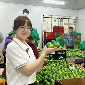Vietnam citron sans pépins grande offre exportation d'agrumes frais maintenant - Product Image 1