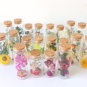 4pcs Wishing Bottle In A Box Preserved Dry Flowers In Glass For Gifts/Home Decorations
