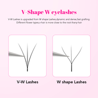 Extensions de cils TDANCE Dark Matte en plateaux, vente en gros, forme en V, cils naturels doux et légers, V-W 3D 4D 5D