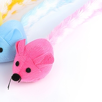 Jouet interactif pour chat avec souris colorée à longue queue et herbe à chat, pour chats d'intérieur