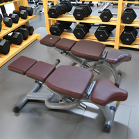 Banc de musculation multifonctionnel pour haltères et abdominaux, avec fonction d'inclinaison 'Flying Bird', équipement de fitness réglable et pliable en métal