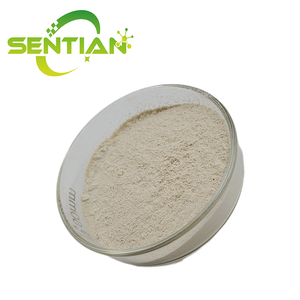 Suministro de fábrica Suplemento de alta potencia Baicalein 98% Polvo de extracto de Scutellaria Baicalensis en polvo - Product Image 3