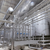Ligne de remplissage automatique multifonctionnelle pour emballage en fût, en sachet, en bouteille et Bag-in-Box pour aliments, boissons, et mélangeur de pâte aseptique 200