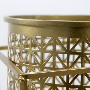 Sáng Tạo Kim Loại Vườn Ban Công Trang Trí Chậu Hoa Đứng Và Trồng Trong Nhà Và Ngoài Trời Greeny Sử Dụng Vàng Kim Loại Đứng Trồng - Product Image 4