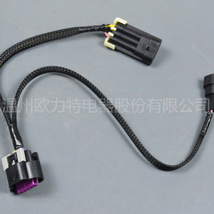 ชุดสายไฟอะแดปเตอร์สายส่งกำลัง 18 VSS LS1 LM7 LQ4 5.3 4L60E ถึง 4L80E สายไฟรถยนต์ - Product Image 2
