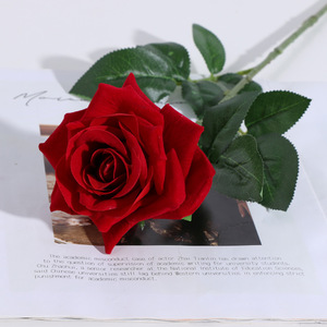 Rosa Artificial de Tallo Largo de Buena Calidad, Rosa de Seda de Terciopelo Wangzu para Decoración de Bodas, Regalo Floral - Product Image 1