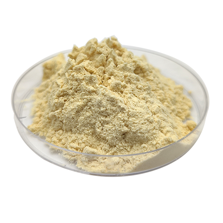Turkey Tail Mushroom Extract Powder supplier Turkey Tail Mushroom Extract Powder supplier