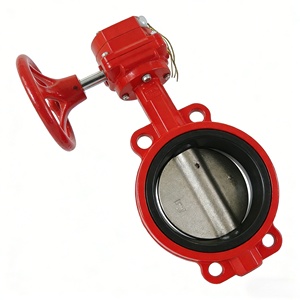 XD371X Parallelwirkendes Signal - Gusseisen für Feuerlöschrohre - Ferngesteuerte Rückmeldung - Product Image 2