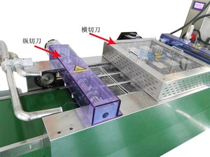 DZDL-320 Máy Đóng Gói Chân Không Tự Động Hoàn Toàn Tự Động - Product Image 3