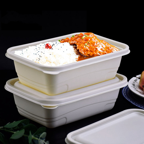 Biograde Fast Food Boxes Takeaway Packaging Disposable