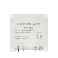 Temporizador Digital CN101A de 12V, 24V, 220V, temporizador, 7 días, programable semanalmente, programador de relé, batería recargable integrada