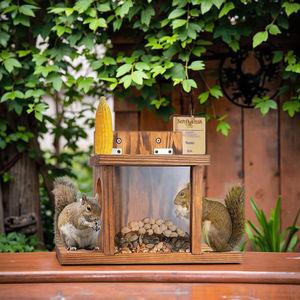Mangeoire à écureuil en bois créative Conception de fenêtre transparente pour l'interaction écologique de la cour Caractéristiques Combinaison de maïs amusante - Product Image 5