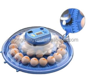 Incubadora de Doble Capacidad para Huevos, Máquina para Incubar Huevos, Lahore, Pakistán - Product Image 5
