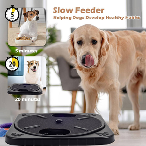 Planche à gratter rotative 2 en 1 avec jouet à alimentation lente Vente à chaud Fournitures pour animaux de compagnie Meulage lent des ongles - Product Image 5