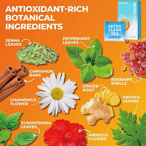 Poudre de thé vert détox amincissante à base de plantes, marque privée OEM, pour adultes, faible en gras, en bouteille, soutient la perte de poids, emballage personnalisé - Product Image 3