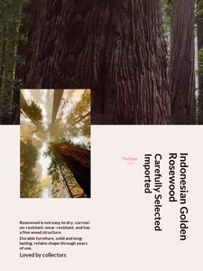 Set <span class=keywords><strong>di</strong></span> Divani <span class=keywords><strong>in</strong></span> <span class=keywords><strong>Legno</strong></span> Massello Huali, Stile Classico Cinese Intagliato, Doppio Uso Inverno-Estate, <span class=keywords><strong>in</strong></span> Palissandro per Arredamento Villa e Soggiorno, Alta Densità - Product Image 4