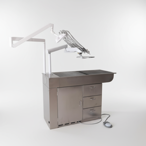 Mesa de Tratamiento Veterinario para Perros, Venta Directa de Fábrica EUR PET, para Consultas Veterinarias en Clínicas y Hospitales de Animales - Product Image 1