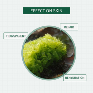 Vente en gros de masques pour le visage clarté et exfoliation aux algues - Product Image 3