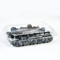 Boîtes d'emballage en plastique transparentes à charnière de 500g pour fruits (fraises, mûres, cerises) avec trou pour couvercle